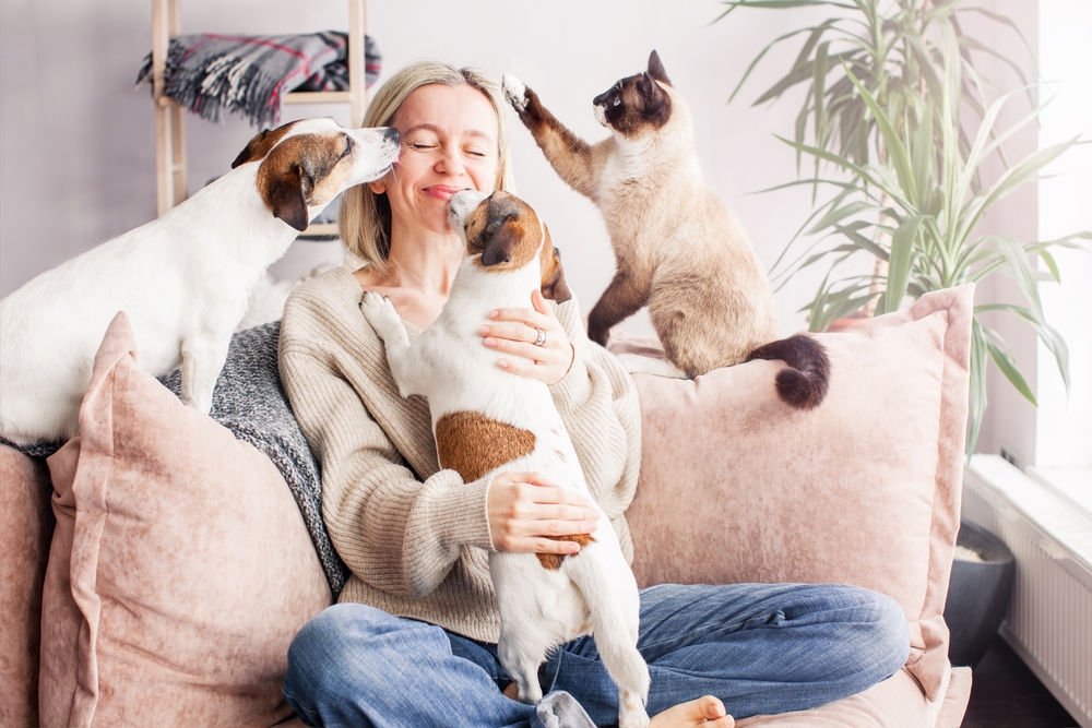 A person with blond hair sits on a pink couch, smiling with eyes closed, while holding a dog and being licked by another dog. A cat reaches out playfully with its paw from a nearby armrest. The room, reminiscent of a veterinarian's cozy waiting area, is softly lit with a blanket shelf and plants in the background.