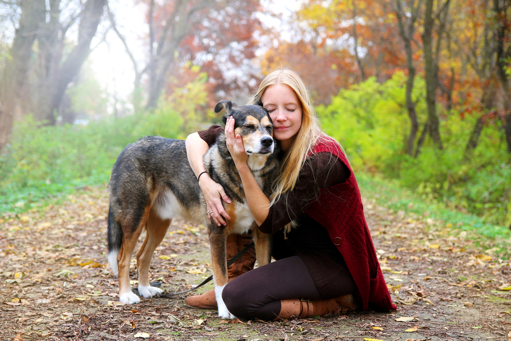 A woman with long blonde hair, wearing a maroon sweater and brown leggings, kneels on a leafy path in the forest, hugging a large mixed-coat dog. As a caring veterinarian, she often enjoys these serene moments. The background features trees adorned with colorful autumn leaves.