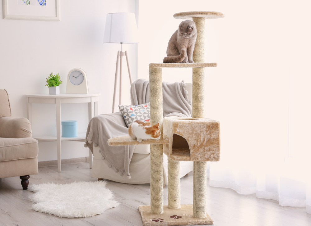 Two cats playing on a multi-level beige cat tree in a cozy living room. One cat is perched on the top level, while the other lounges on a lower platform. The room features a beige armchair, a small side table with a clock, a standing lamp, and a decorative rug—perfect after their vet visit.